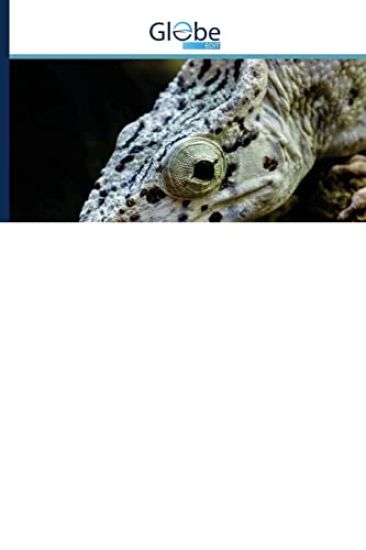 A felismerésre bemutatás szerepe a büntetoeljárásban