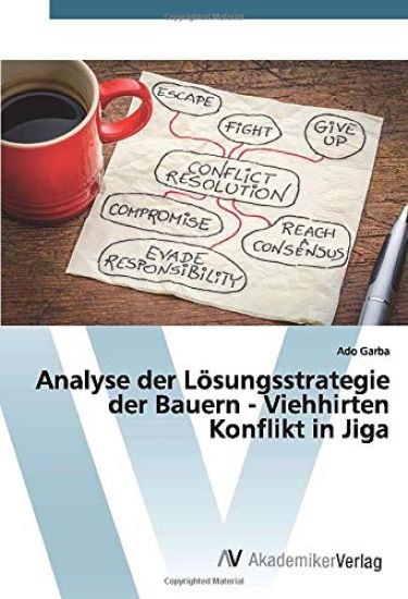 Analyse der Lösungsstrategie der Bauern - Viehhirten Konflikt in Jiga
