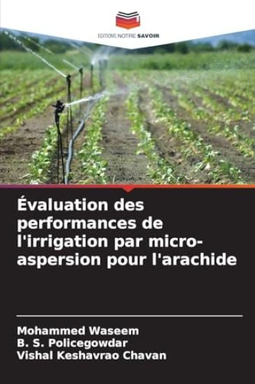 Évaluation des performances de l'irrigation par micro-aspersion pour l'arachide