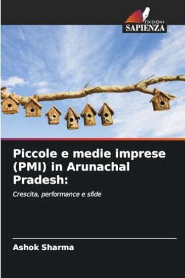 Piccole e medie imprese (PMI) in Arunachal Pradesh