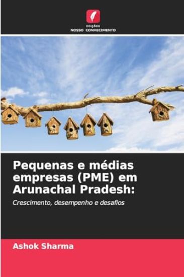 Pequenas e médias empresas (PME) em Arunachal Pradesh
