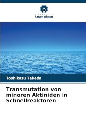Transmutation von minoren Aktiniden in Schnellreaktoren
