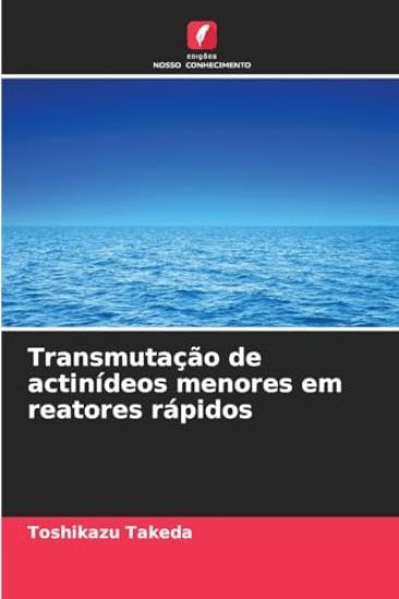Transmutação de actinídeos menores em reatores rápidos
