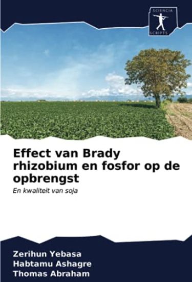 Effect van Brady rhizobium en fosfor op de opbrengst