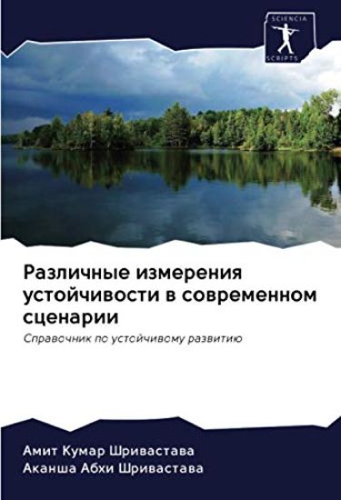 Razlichnye izmereniq ustojchiwosti w sowremennom scenarii