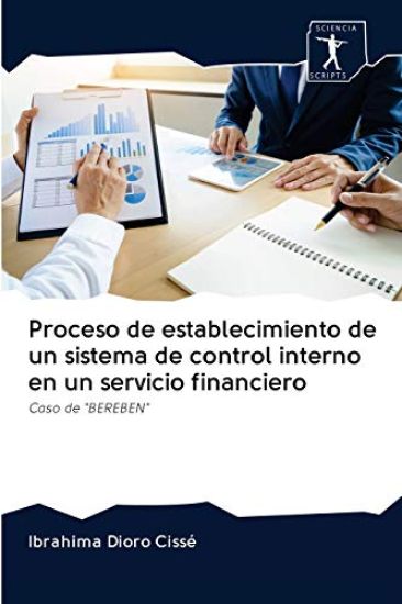 Proceso de establecimiento de un sistema de control interno en un servicio financiero