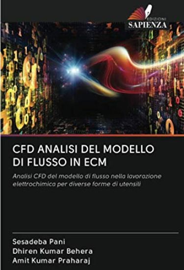 CFD ANALISI DEL MODELLO DI FLUSSO IN ECM