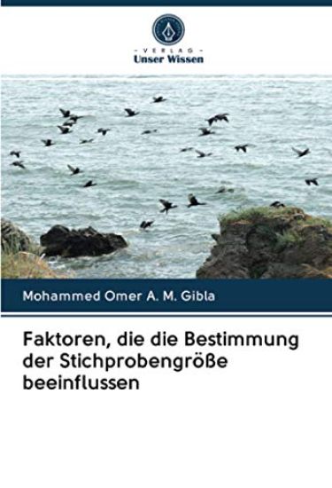 Faktoren, die die Bestimmung der Stichprobengröße beeinflussen