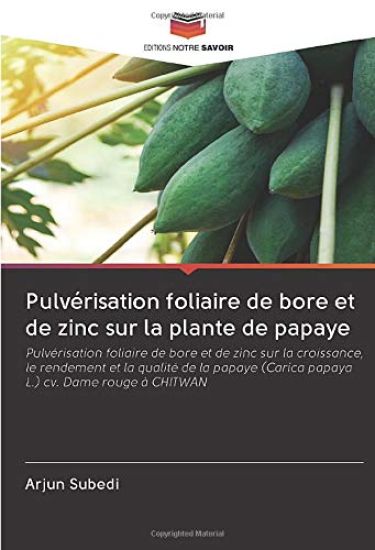 Pulvérisation foliaire de bore et de zinc sur la plante de papaye