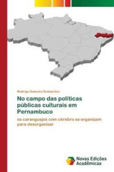 No campo das políticas públicas culturais em Pernambuco