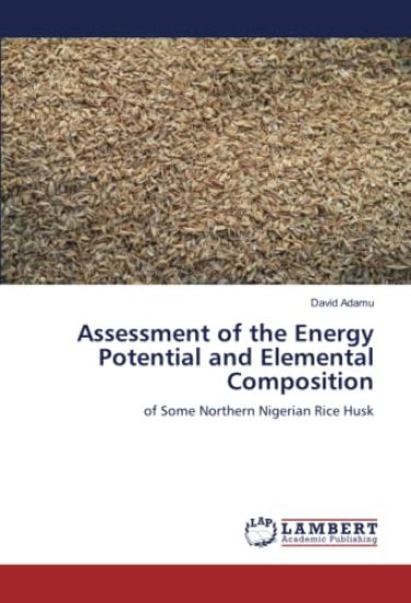 Assessment of the Energy Potential and Elemental Composition