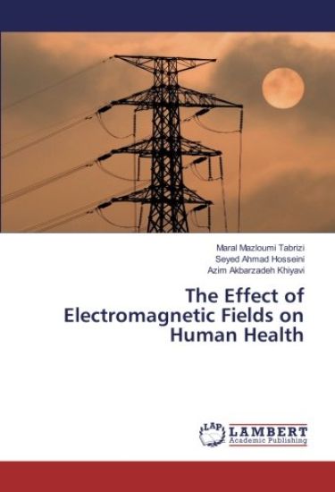 The Effect of Electromagnetic Fields on Human Health