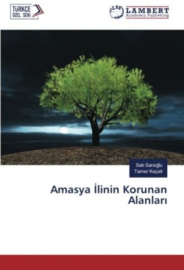 Amasya ¿linin Korunan Alanlar¿