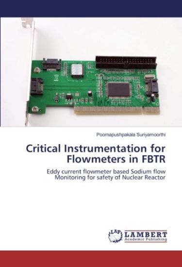 Critical Instrumentation for Flowmeters in FBTR