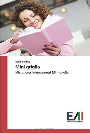 Mini griglia