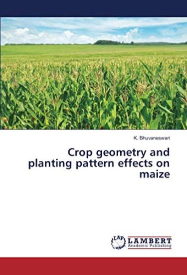 Crop geometry and planting pattern effects on maize