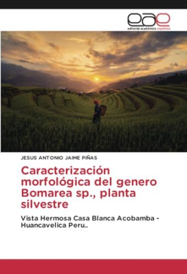 Caracterización morfológica del genero Bomarea sp., planta silvestre