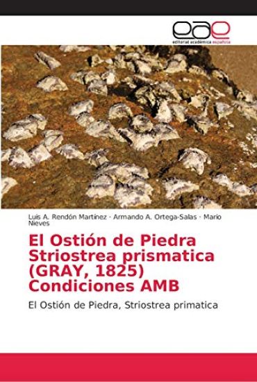 El Ostión de Piedra Striostrea prismatica (GRAY, 1825) Condiciones AMB