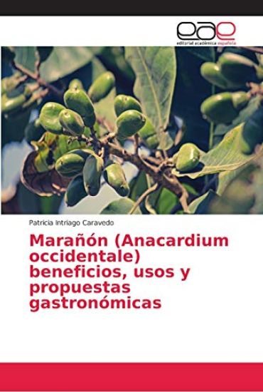 Marañón (Anacardium occidentale) beneficios, usos y propuestas gastronómicas
