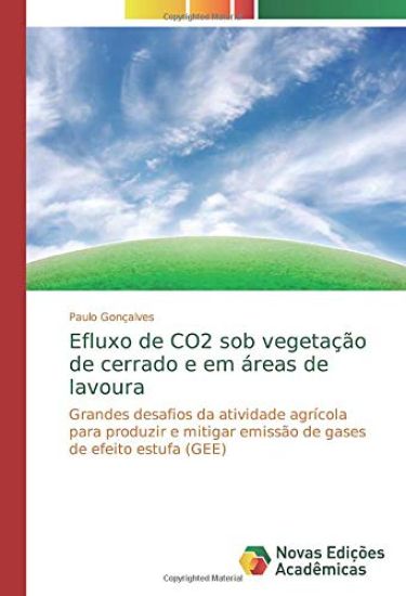 Efluxo de CO2 sob vegetação de cerrado e em áreas de lavoura