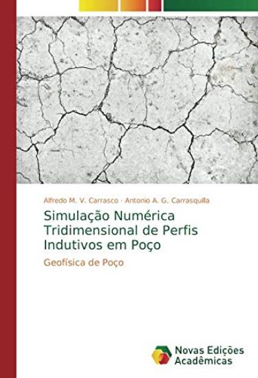 Simulação Numérica Tridimensional de Perfis Indutivos em Poço