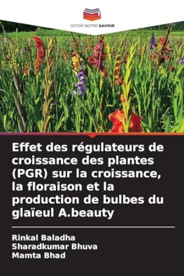 Effet des régulateurs de croissance des plantes (PGR) sur la croissance, la floraison et la production de bulbes du glaïeul A.beauty