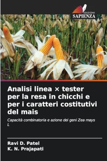 Analisi linea × tester per la resa in chicchi e per i caratteri costitutivi del mais