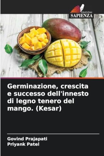 Germinazione, crescita e successo dell'innesto di legno tenero del mango. (Kesar)