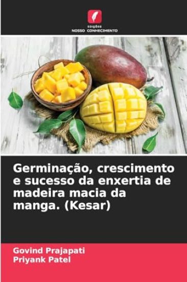 Germinação, crescimento e sucesso da enxertia de madeira macia da manga. (Kesar)