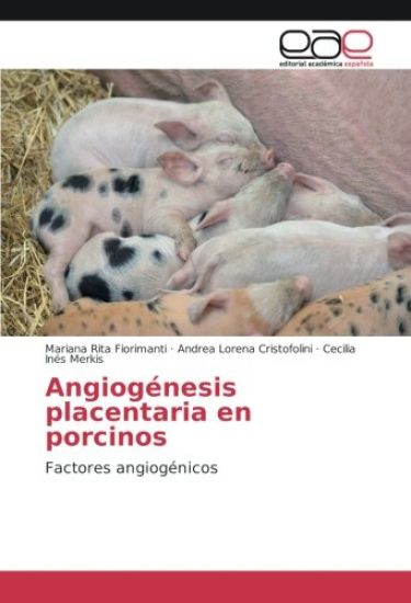 Angiogénesis placentaria en porcinos