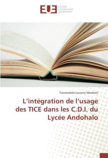 L¿intégration de l¿usage des TICE dans les C.D.I. du Lycée Andohalo