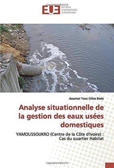 Analyse situationnelle de la gestion des eaux usées domestiques