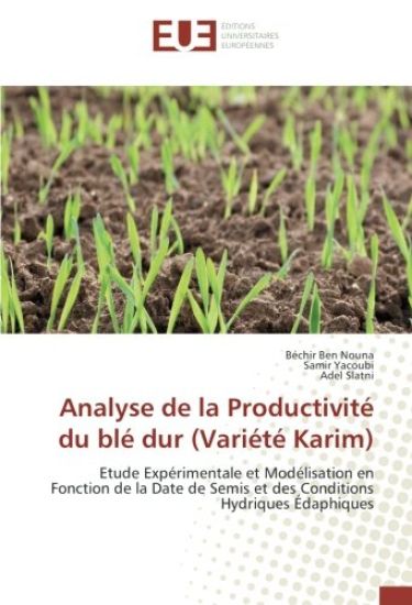 Analyse de la Productivité du blé dur (Variété Karim)