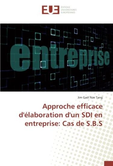 Approche efficace d'élaboration d'un SDI en entreprise: Cas de S.B.S