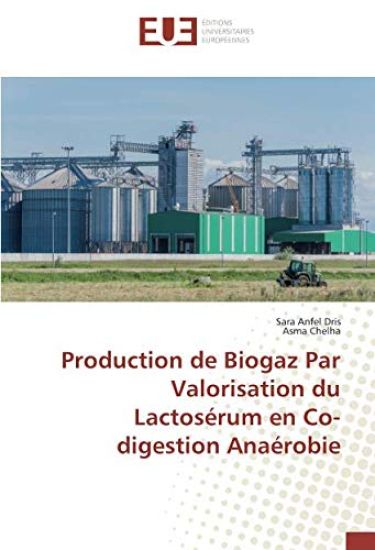 Production de Biogaz Par Valorisation du Lactosérum en Co-digestion Anaérobie