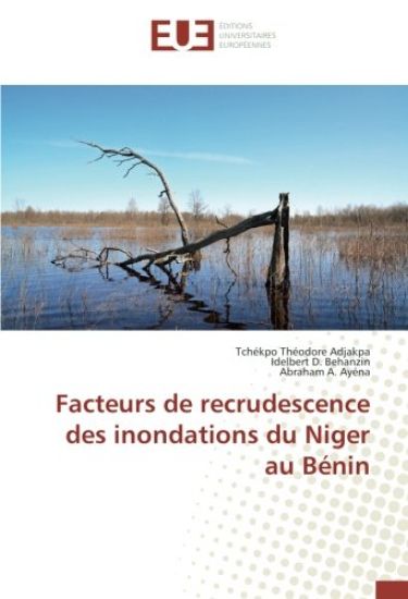 Facteurs de recrudescence des inondations du Niger au Bénin