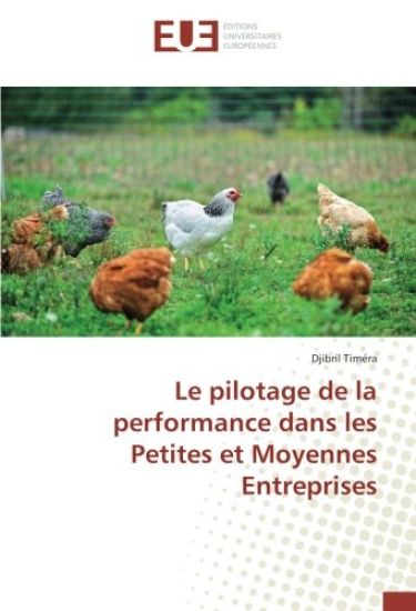 Le pilotage de la performance dans les Petites et Moyennes Entreprises