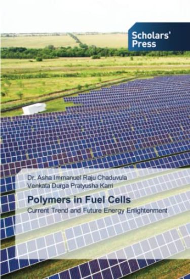 Polymers in Fuel Cells