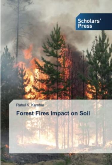 Forest Fires Impact on Soil