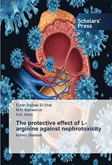 The protective effect of L-arginine against nephrotoxicity