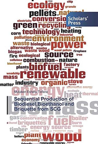 Sequential Production of Biodiesel,Bioethanol and Briquette from SCG