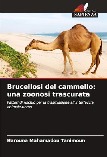 Brucellosi del cammello