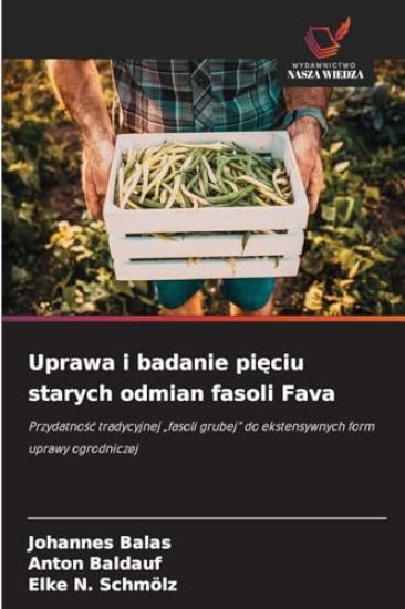 Uprawa i badanie pięciu starych odmian fasoli Fava