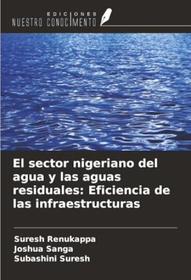 El sector nigeriano del agua y las aguas residuales: Eficiencia de las infraestructuras