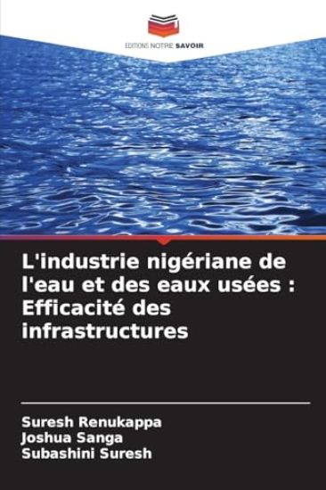 L'industrie nigériane de l'eau et des eaux usées