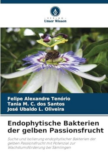 Endophytische Bakterien der gelben Passionsfrucht