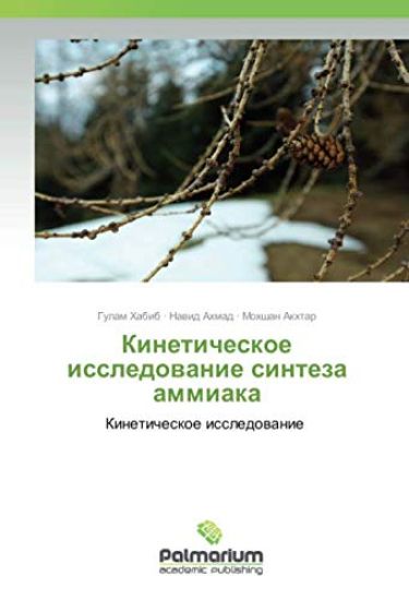 Kineticheskoe issledowanie sinteza ammiaka