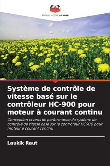 Système de contrôle de vitesse basé sur le contrôleur HC-900 pour moteur à courant continu