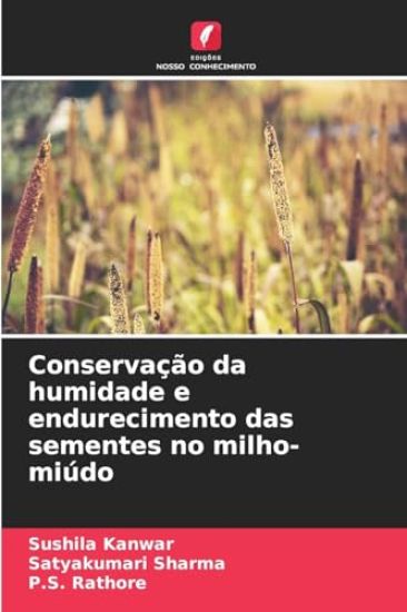 Conservação da humidade e endurecimento das sementes no milho-miúdo