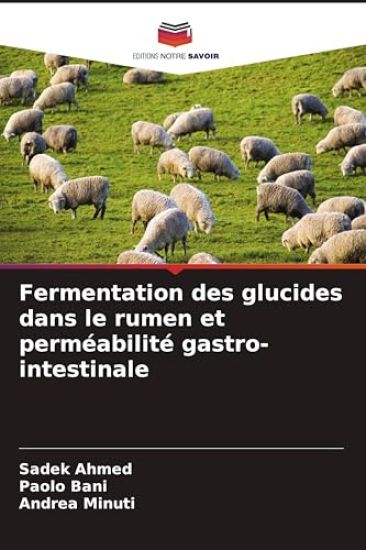Fermentation des glucides dans le rumen et perméabilité gastro-intestinale